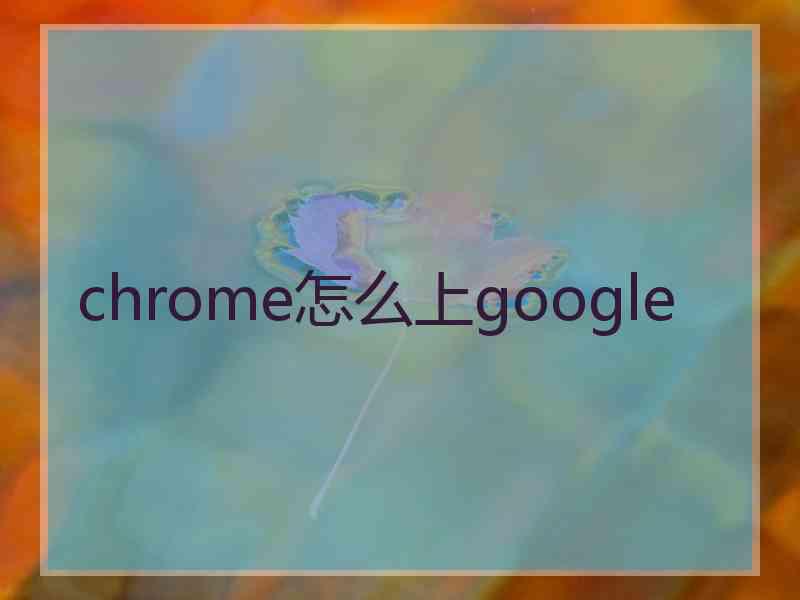 chrome怎么上google