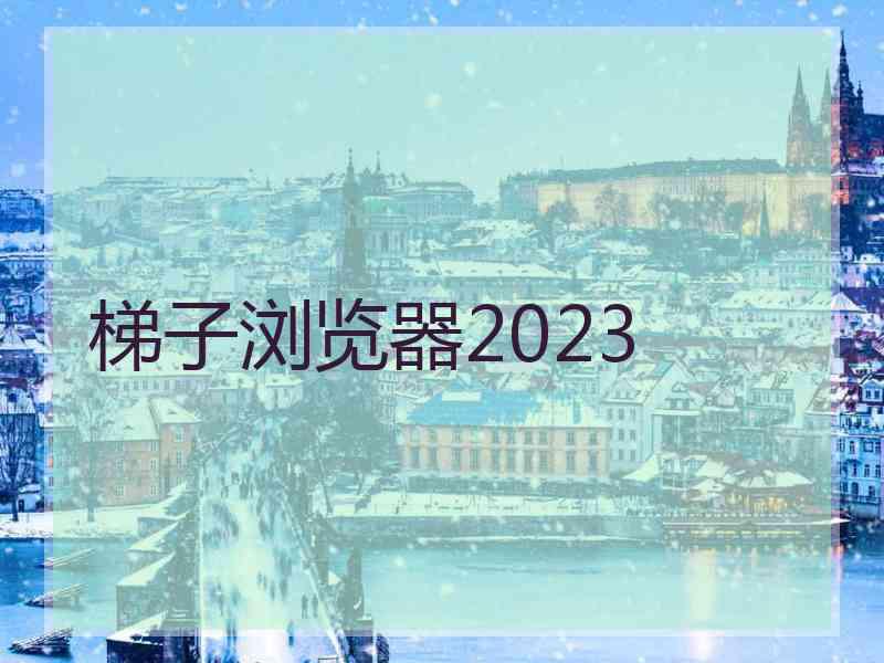 梯子浏览器2023