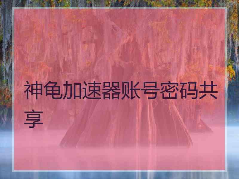 神龟加速器账号密码共享