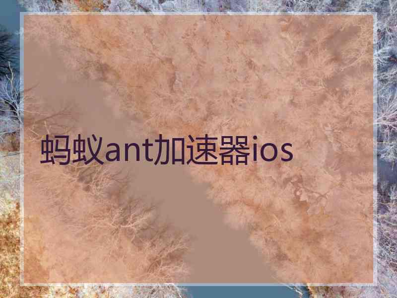 蚂蚁ant加速器ios