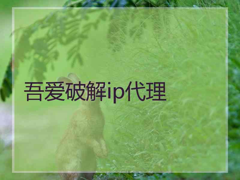吾爱破解ip代理