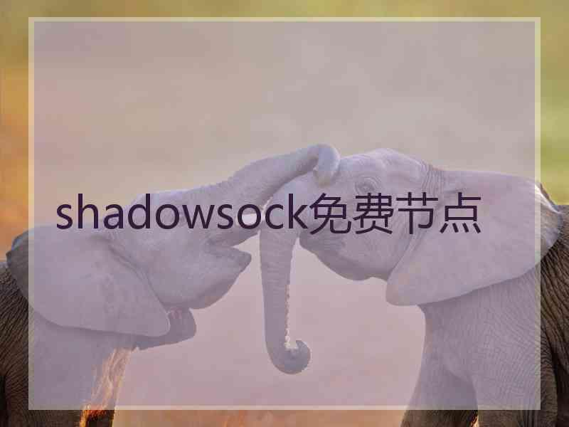 shadowsock免费节点