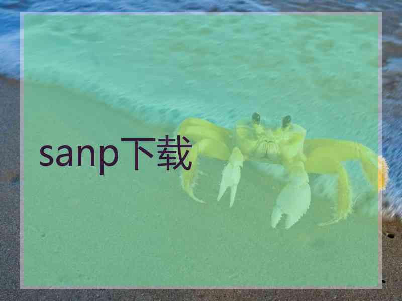 sanp下载